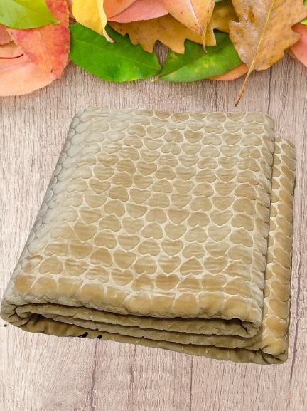 Plaid polaire Microfibre 2 places motif coeur -beige